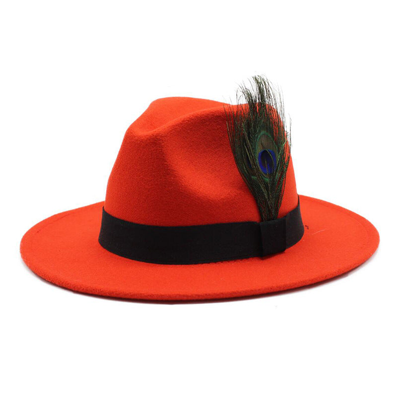 Women's Woolen Big Brim Peacock Feather Casual Sun Hat