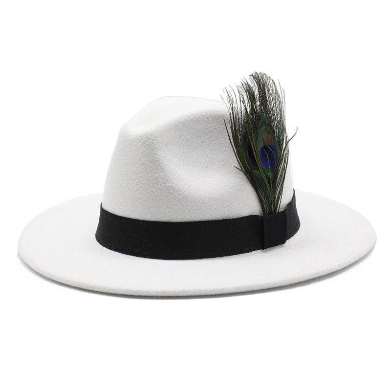 Women's Woolen Big Brim Peacock Feather Casual Sun Hat