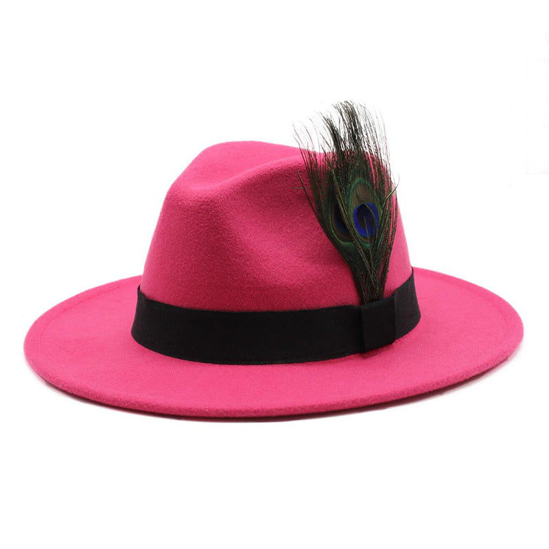 Women's Woolen Big Brim Peacock Feather Casual Sun Hat