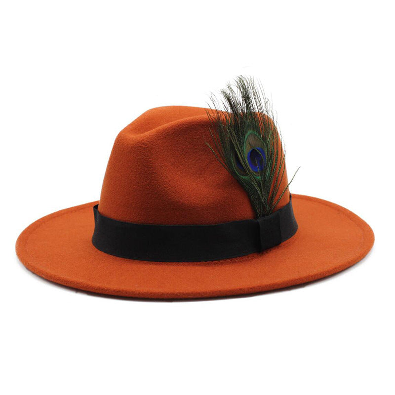 Women's Woolen Big Brim Peacock Feather Casual Sun Hat