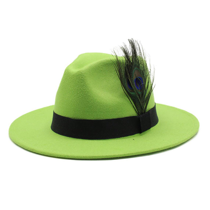 Women's Woolen Big Brim Peacock Feather Casual Sun Hat