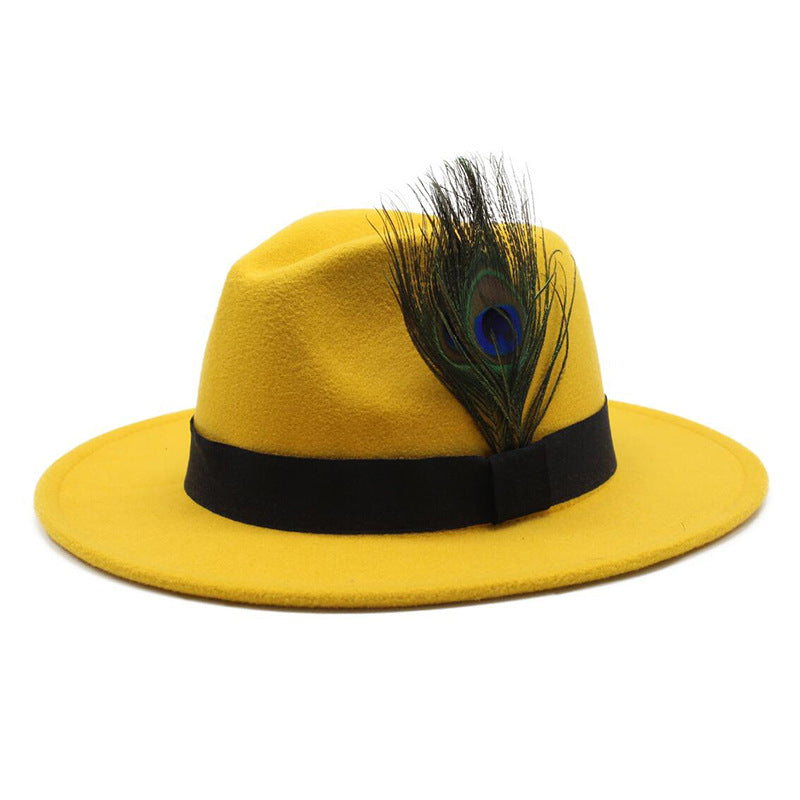 Women's Woolen Big Brim Peacock Feather Casual Sun Hat