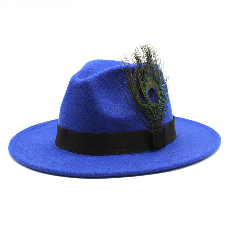 Women's Woolen Big Brim Peacock Feather Casual Sun Hat